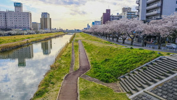 Les leçons de Fukushima